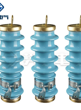 10kv户外高压陶瓷氧化锌避雷器Y5WS-17/50-FT防雷蓝色广东用