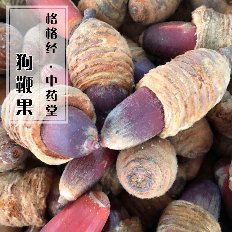 狗鞭果泡酒风流果500g