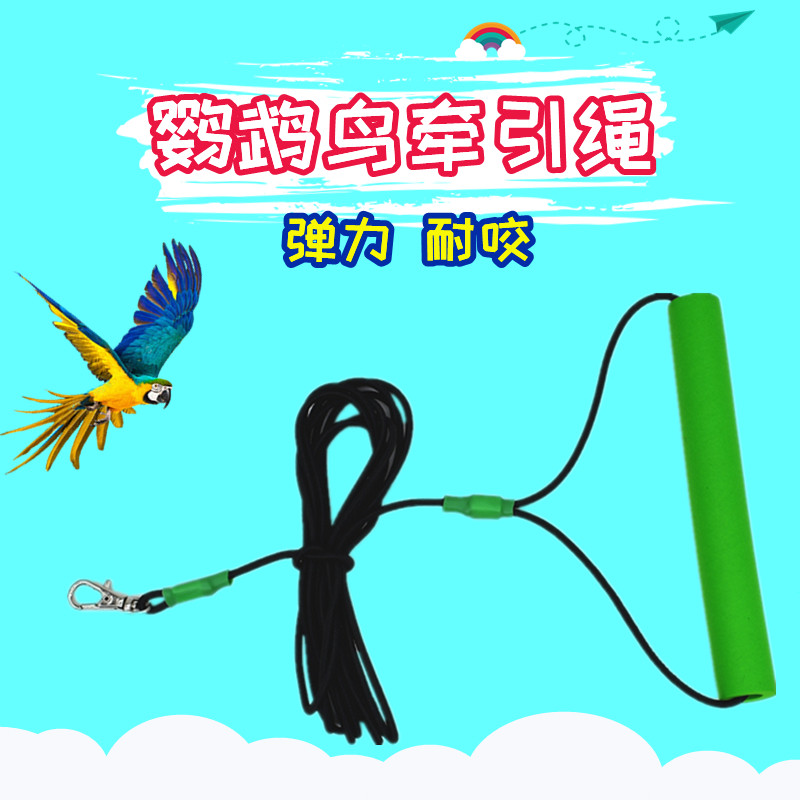 鹦鹉牵引绳放飞绳虎皮牡丹用玄凤衣服遛鸟绳子飞行背带外出鸟用品