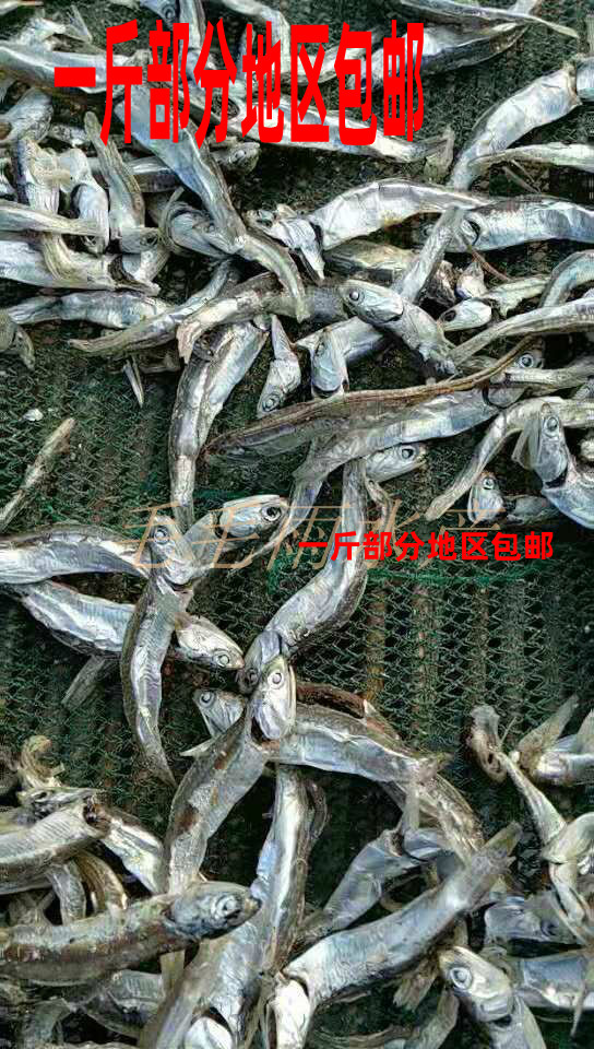 汤鱼烟台海燕干大酱汤鱼干