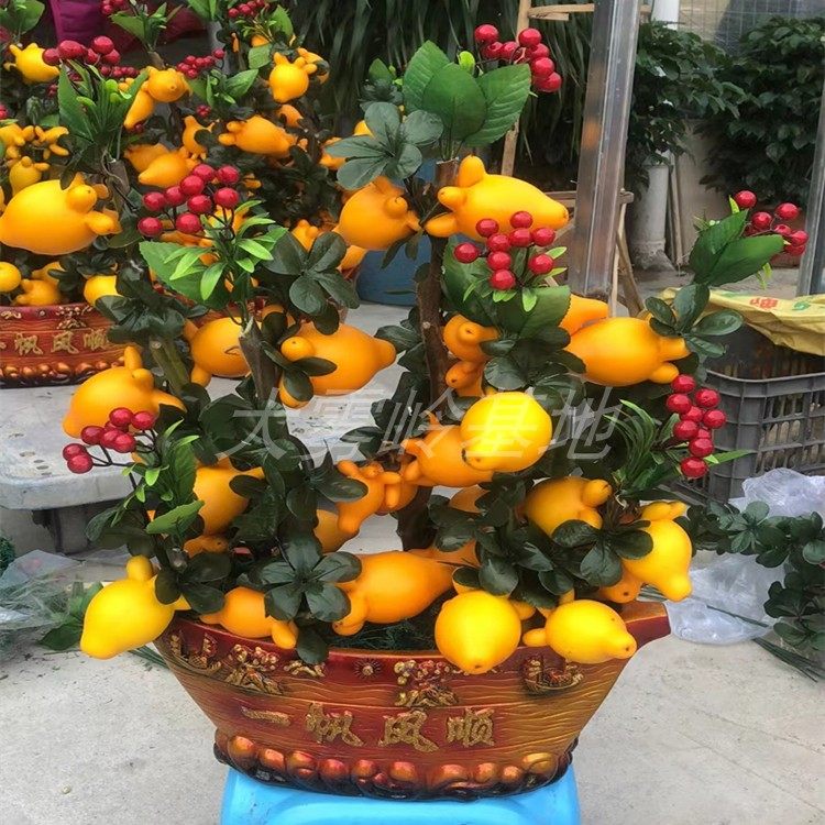 黄金果五代同堂植物花装饰鲜切果摆放乔迁新居喜庆祝福春节客厅