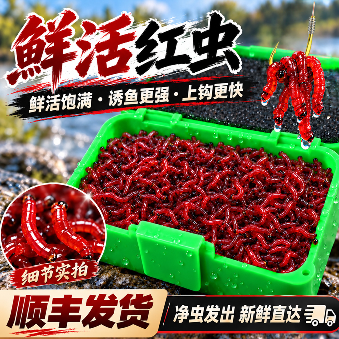 鲜活红虫特大号公虫活体活饵喂鱼饵拉饵鲫鱼野钓饵料钓鱼蚯蚓鱼饵