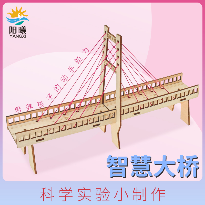 diy自制斜拉桥 学生科技小制作创意小发明力学物理实验 教具作业