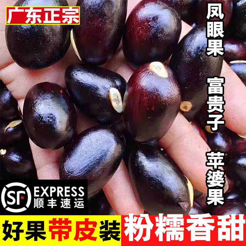 凤眼果苹婆九层皮富贵子