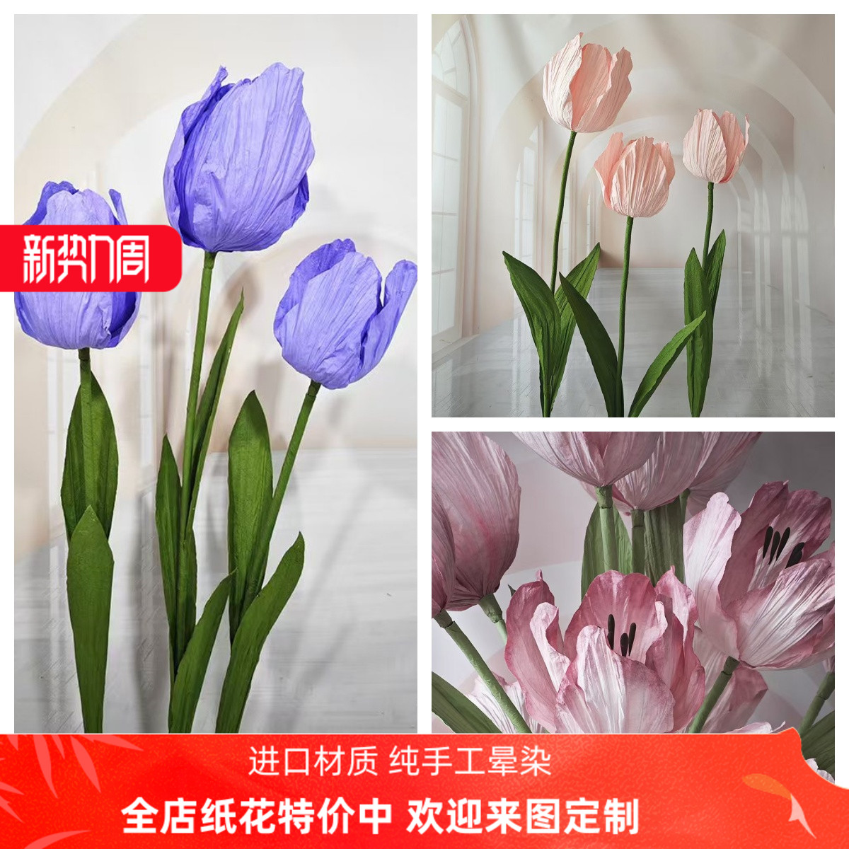 大棵特價紙花蘭萱紙藝支持定制