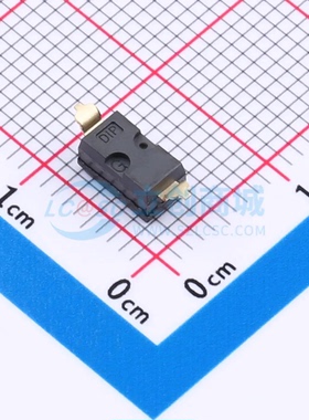 拨码开关 KAE01SGGT - 原装正品