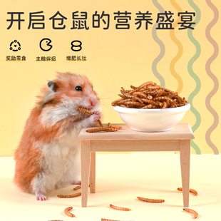 小仓鼠面包虫干零食鹦鹉零食黄粉虫干鸟龟金丝熊饲料刺猬仓鼠用品