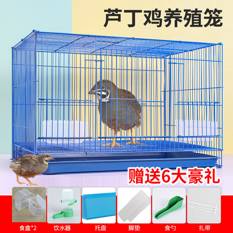 鸡笼子芦丁鸡笼家用鸡笼小鸡笼鹌鹑笼加密鸭笼室内室外小鸡专用品