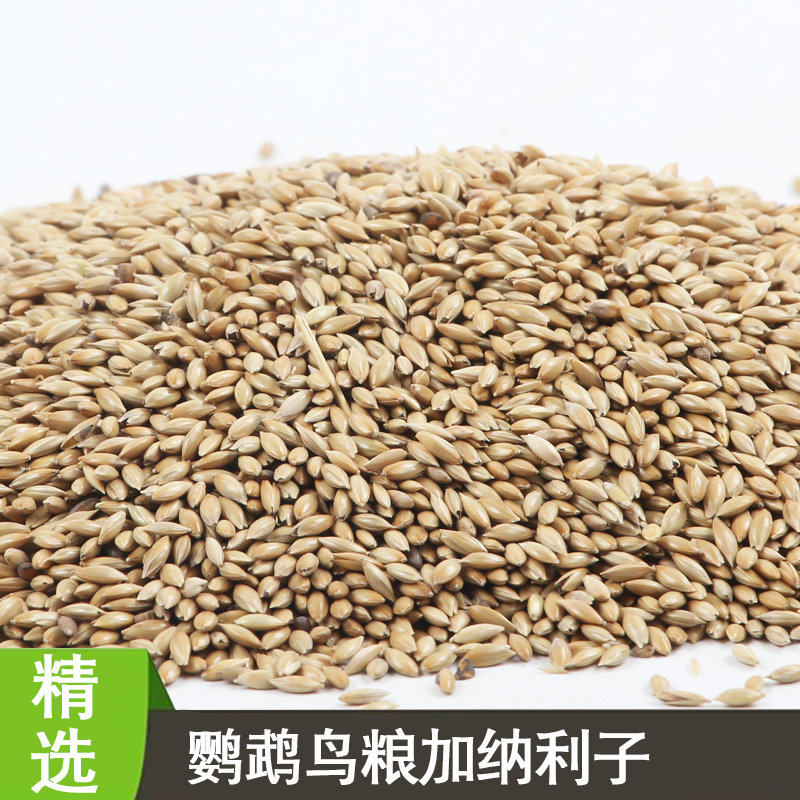 鹦鹉鸟食虎皮玄风鸟粮小鸟吃的食物加纳利子谷子金丝雀食物250g