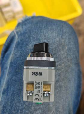 和泉（IDEC）ASD211N型号选择开关，属于φ30mm规