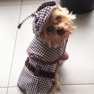 宠物衣服亚马逊狗小中型犬福尔摩斯套装衣服秋冬搞笑搞怪服饰毛衣