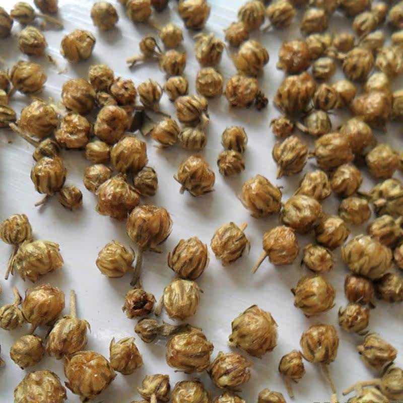 河南焦作温县  珍珠菊 胎菊  珍珠菊花茶 50克  100克包邮