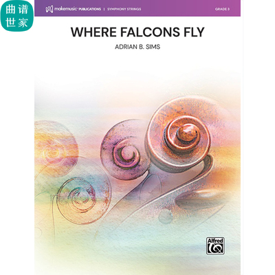 Where Falcons Fly 鹰击长空 弦乐团 3-4级 总谱 分谱 mp3