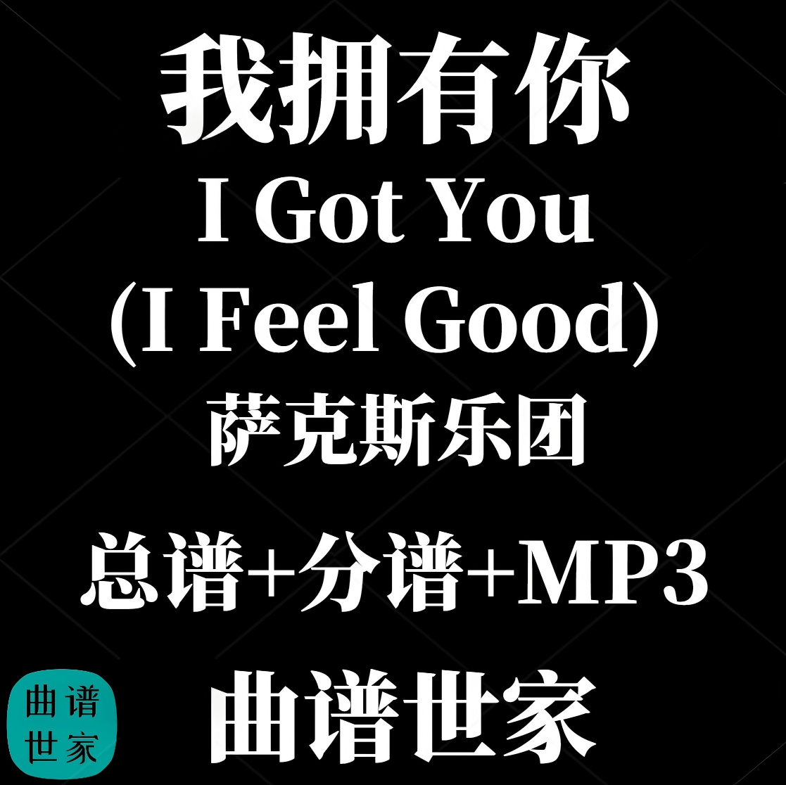 【萨克斯乐团】I Got You我拥有你 我感觉很好重奏3级总谱分谱MP3