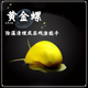 黄金螺紫纹螺除藻除苔神秘螺观赏螺宠物工具螺水族活体 包邮