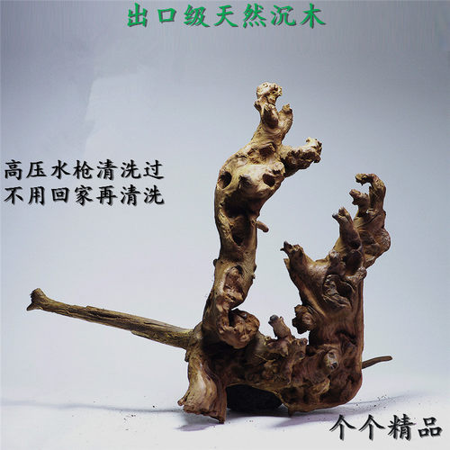 天然沉木造景鱼缸装饰莫斯球