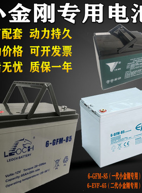 热销包邮中力杭叉诺力合力小金刚电瓶6-GFM/EVF-30/65/85胶体电池