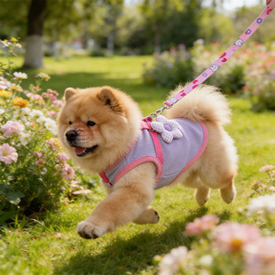 宠物穿的松狮犬专用狗狗薄款衣服2026新款春季小狗春夏款背心