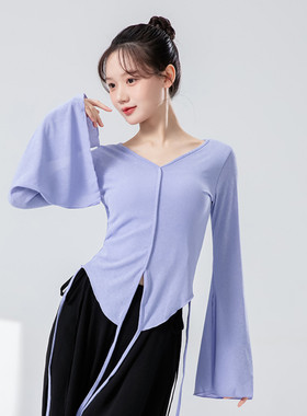 古典舞纱衣中国舞服装身韵形体服