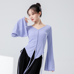 古典舞纱衣中国舞服装身韵修身形体服舞蹈上衣女款舞蹈练功服