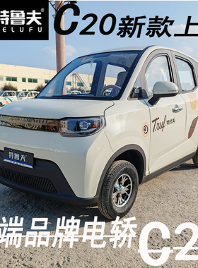 特鲁夫C20新能源电动四轮车电轿成人家用老年代步车老头乐