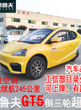 特鲁夫GT5新能源倒三轮电动三轮车新能源老年代步车可上牌照