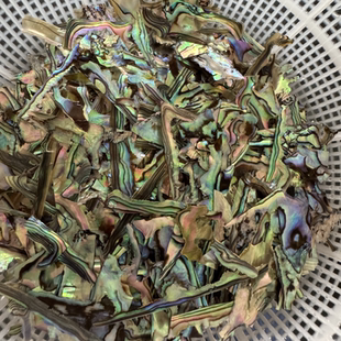 螺钿边角料新西兰鲍鱼贝原贝边角料大漆漆画漆艺镶嵌材料首饰DIY