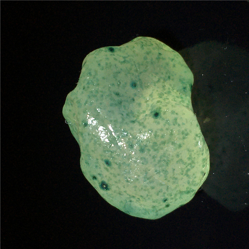 天然奇石精品阿拉善戈壁俏色草花草莓点糖心玛瑙非沙包原石单颗