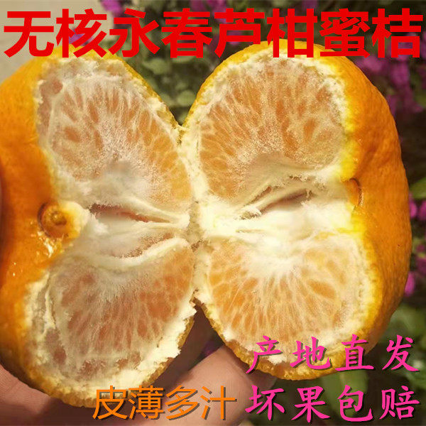 福建永春芦柑蜜桔椪柑新鲜水果当季桔子整箱包邮