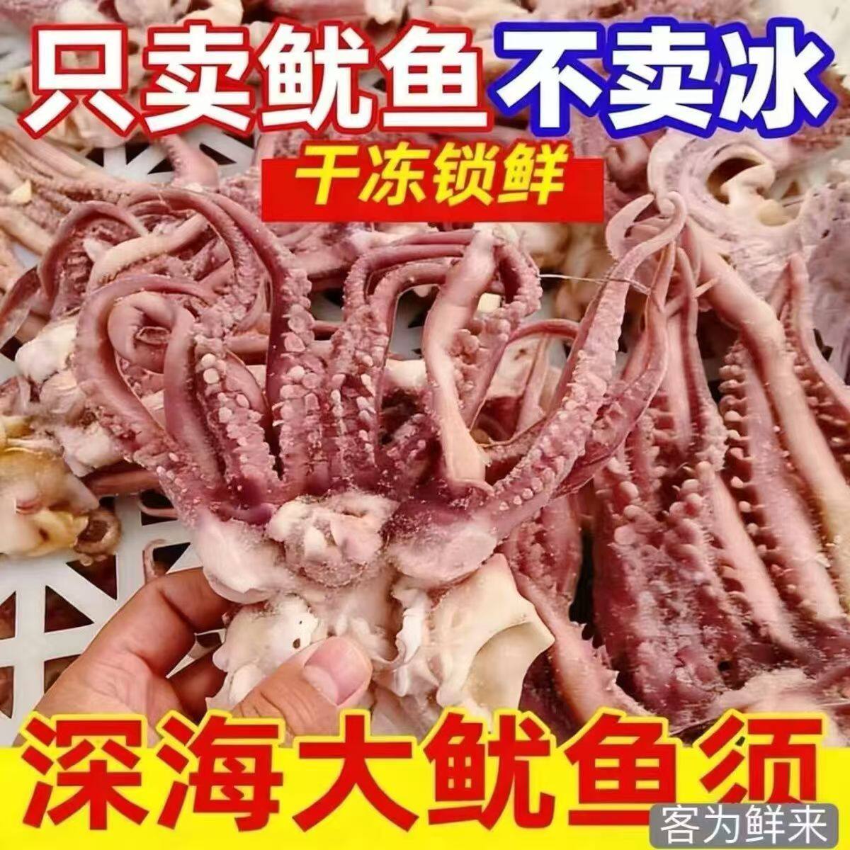 不包冰五包五斤开片鱿鱼头须，新冷冻鱿鱼