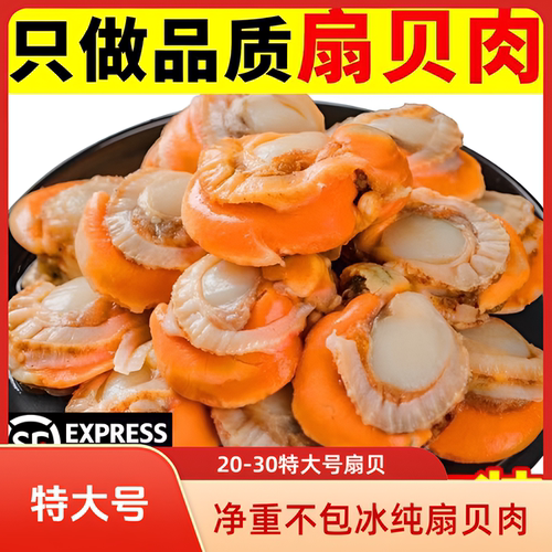 20-30净重三斤特大个扇贝肉