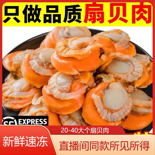 不包冰20-40大号扇贝肉净重三斤大个新鲜扇贝肉顺丰冷链发货