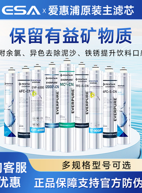 爱惠浦净水器主滤芯 I20002 7FC 4FC H104 4DC PRO4 MH2 前置滤芯