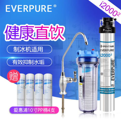 商用奶茶店直饮净水器惠浦