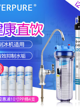爱惠浦净水器i20002 商用酒店餐饮咖啡奶茶店制冰机过滤净水机