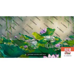 maya莲花带贴图池塘绿植fbx Blender写实荷花荷叶莲蓬3d模型 obj