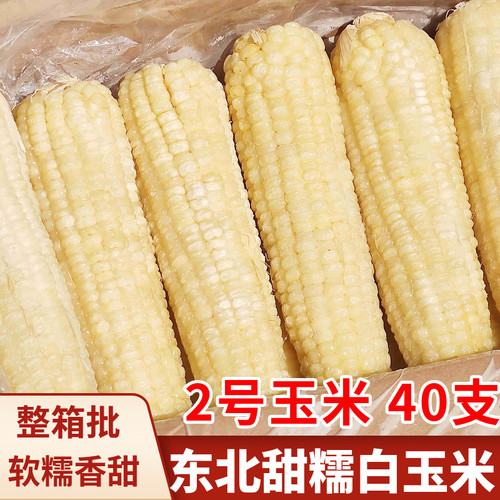 东北甜糯玉米棒速冻40支商用