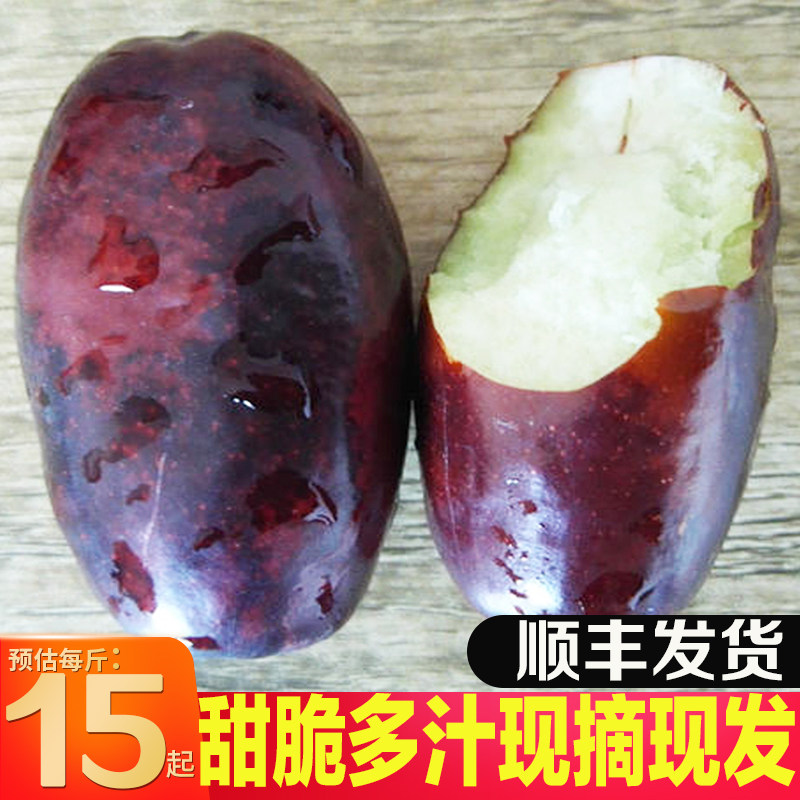 陕西新鲜狗头枣鲜枣水果当季大枣