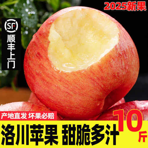 洛川苹果产地直发10斤顺丰直达