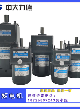 ZD中大力矩电机110V 220V3W 6W 10W 20W 40W 5TK40GU-CFP堵转马达