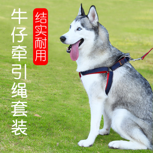 狗狗牵引绳可调节胸背带狗绳子链子遛狗中型大型犬萨摩耶拉布拉多