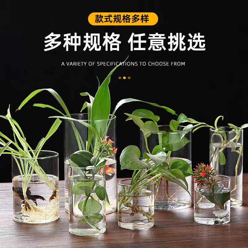 高硼硅玻璃花瓶水养透明客厅插花鲜花富贵竹落地水培苔藓瓶摆件图片