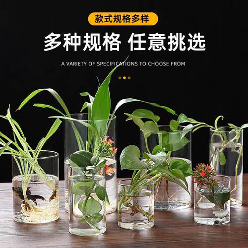 高硼硅玻璃花瓶水养透明客厅插花鲜花富贵竹落地水培苔藓瓶摆件