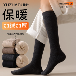 黑色厚袜子女小腿袜秋冬季 中筒袜加绒加厚月子袜保暖毛圈长筒长袜
