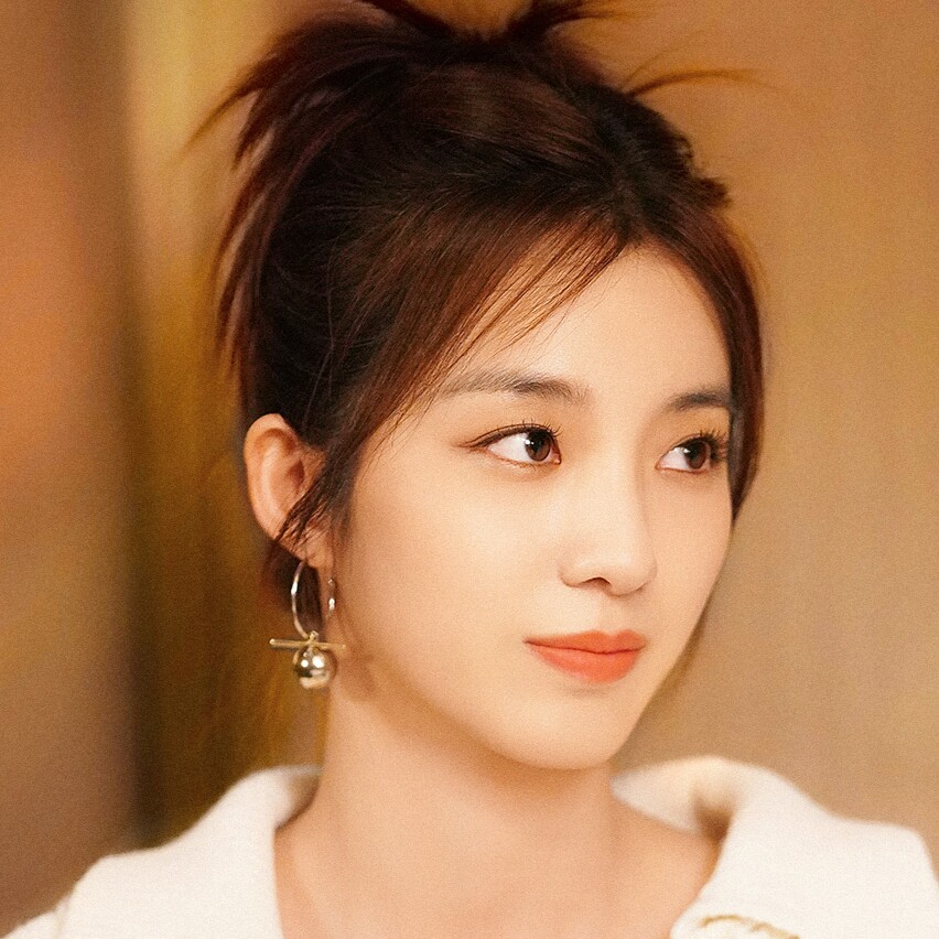 亲爱的仇敌万鹏钟倾城同款耳环女ins轻奢高级感小众设计耳饰潮