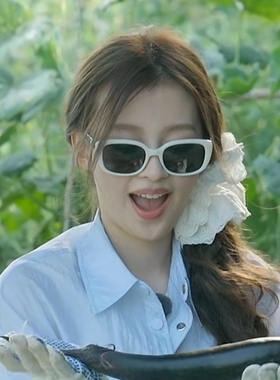 欧洲我家那闺女孙怡同款太阳眼镜男女ins复古欧美气质百搭时尚墨