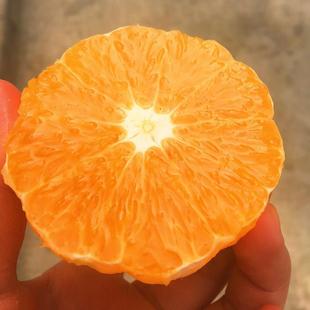 贵州榕江脐橙（村超故乡）脐橙精品大果10斤净果