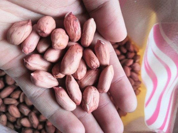 2025 新鲜晒干花生米去壳农家种散装原味颗粒饱满优质挑拣5斤包邮