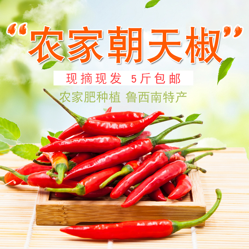 红小米椒小米辣新鲜朝天椒