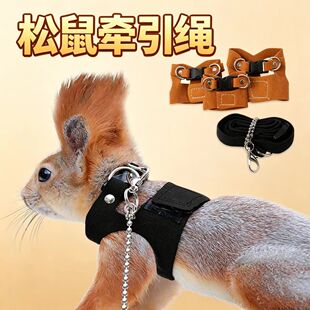 松鼠牵引训练用品胸背套装宠物胸背衣魔王松鼠胸背带牵引绳工字型